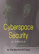 Cyberspace Security: A Primer