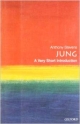  Jung (Very Short Introductions) 