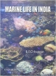 Marine Life in India