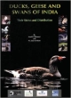 Ducks, Geese and Swans: Their Status and Distribution (Bombay Natural History Society)
