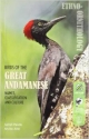 Birds of Andamanese: Names, Classification and Culture