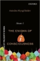 Aham-I: The Enigma of I-consciousness