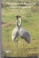 Threatened Birds of Uttar Pradesh 