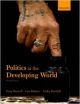 Politics in the Developing World