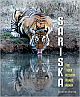 SARISKA: THE TIGER RESERVE ROARS AGAIN