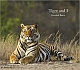 TIGER AND I