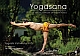 Yogasana: The Encyclopedia of Yoga Poses