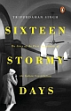 Sixteen Stormy Days :  The Story of the First Amendment of the Constitution of India 