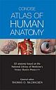 Concise Atlas of Human Anatomy