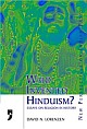 Who invented Hinduism? Essays on Religion in History (New Perspectives on Indian Pasts)