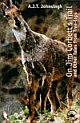 On Jim Corbett`s Trail and Other Tales from Treetops