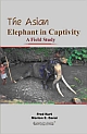 The Asian Elephant in Captivity 