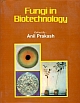 Fungi in Biotechnology