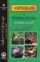 Amphibians of Peninsular Indian