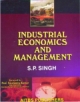 Industrial Economics & Management, 2nd Edition