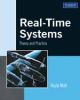 Real Time System: Theory and practice