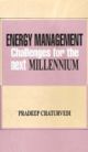 Energy Management: Challenges For the Next Millennium