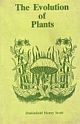 The Evaluation Of Plants