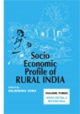 Socio Economic Profile of Rural India (Volume III: Western and North Central India)