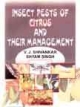 Insect pests Of Citrus and their Management 1st Edition 