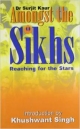 Amongst the Sikhs Reaching For the Stars