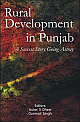 Rural Development in Punjab : A Success Story Going Astray