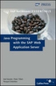 Java programming With the SAP Web Application