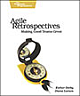 Agile Retrospectives : Making Good Teams Great, 192 Pages,