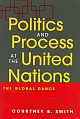 Politics and Process at the United Nations