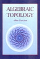 Algebraic Topology