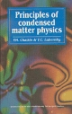 Principles Of Condensed Matter Physics