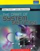 The Craft of System Security