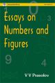 Essays on Numbers and Figures