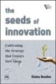 Seed Of Innovation, The: Cultivating the Synergy that Fosters New Ideas,