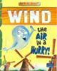 Wind: The Air in a Hurry!